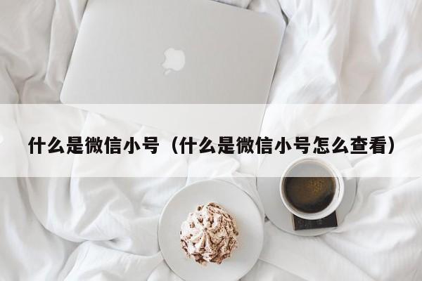 什么是微信小号（什么是微信小号怎么查看）