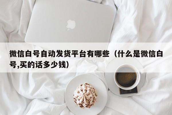 微信白号自动发货平台有哪些（什么是微信白号,买的话多少钱）