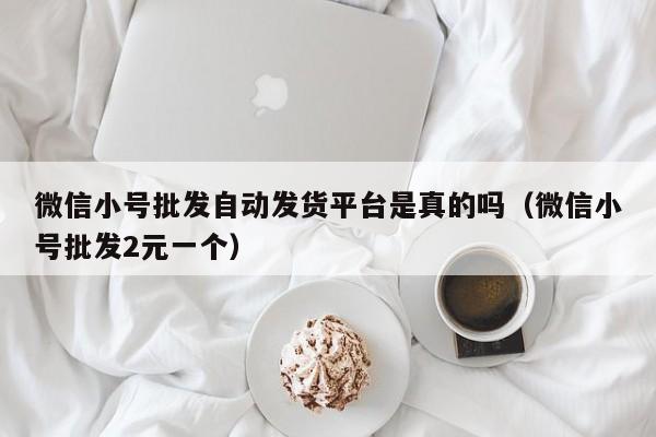 微信小号批发自动发货平台是真的吗（微信小号批发2元一个）