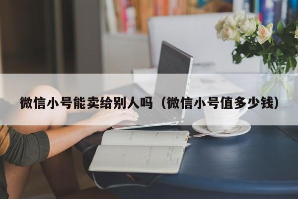 微信小号能卖给别人吗（微信小号值多少钱）