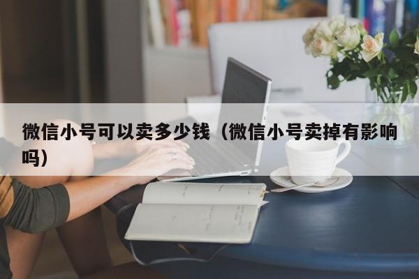 微信小号可以卖多少钱（微信小号卖掉有影响吗）