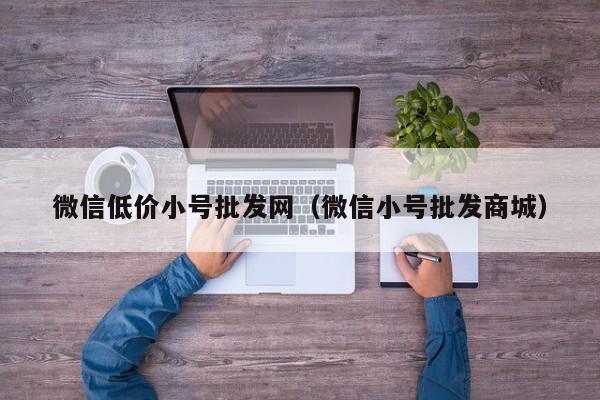 微信低价小号批发网（微信小号批发商城）