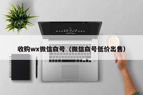 收购wx微信白号（微信白号低价出售）