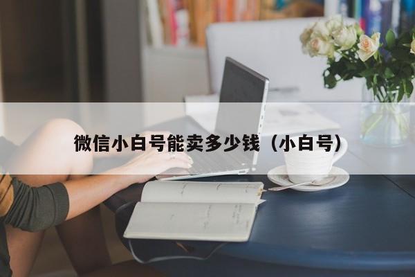 微信小白号能卖多少钱（小白号）