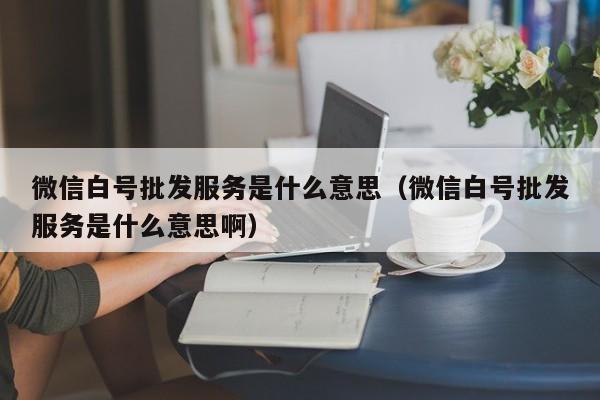 微信白号批发服务是什么意思（微信白号批发服务是什么意思啊）