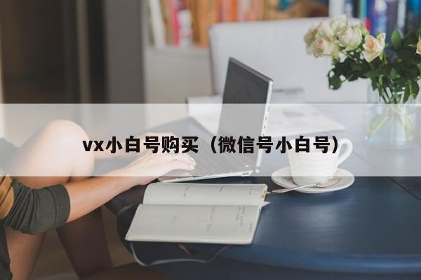 vx小白号购买（微信号小白号）