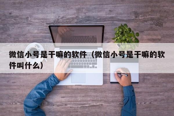 微信小号是干嘛的软件（微信小号是干嘛的软件叫什么）