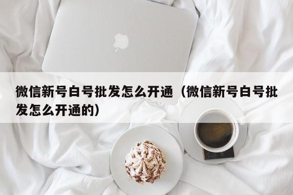 微信新号白号批发怎么开通（微信新号白号批发怎么开通的）