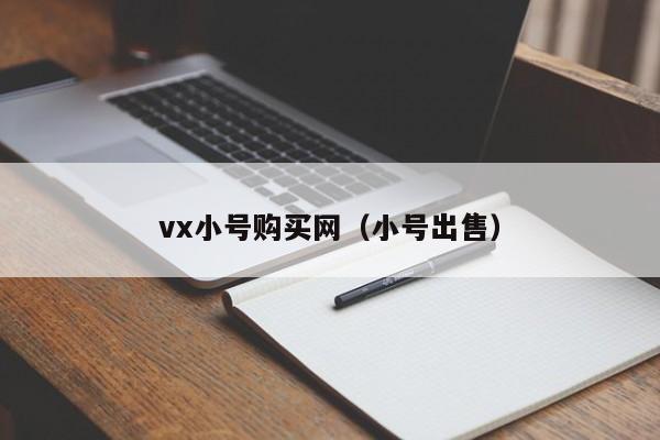 vx小号购买网（小号出售）