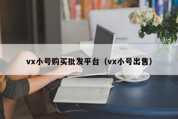 vx小号购买批发平台（vx小号出售）