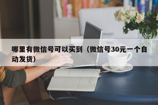 哪里有微信号可以买到（微信号30元一个自动发货）