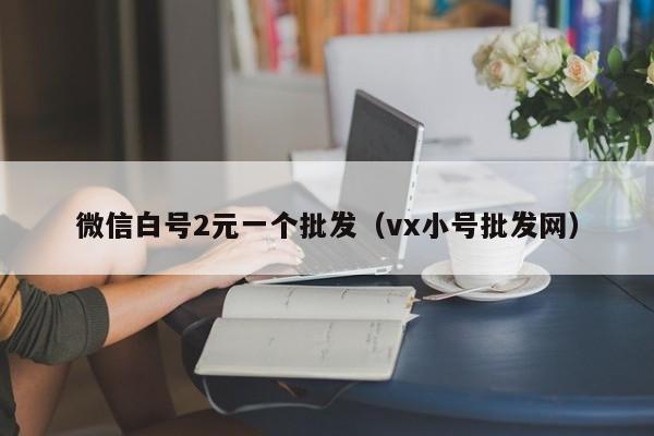 微信白号2元一个批发（vx小号批发网）