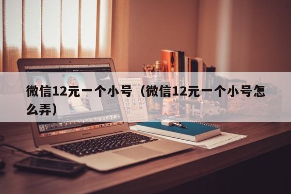 微信12元一个小号（微信12元一个小号怎么弄）