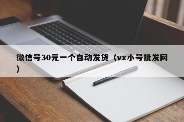 微信号30元一个自动发货（vx小号批发网）
