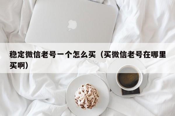 稳定微信老号一个怎么买（买微信老号在哪里买啊）