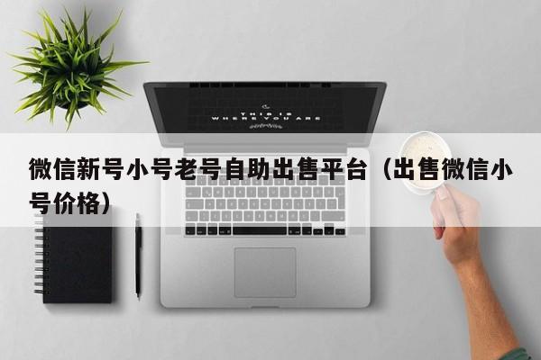微信新号小号老号自助出售平台（出售微信小号价格）