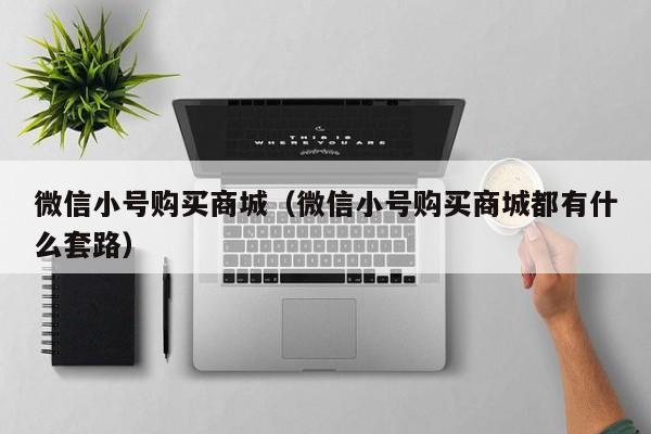 微信小号购买商城（微信小号购买商城都有什么套路）