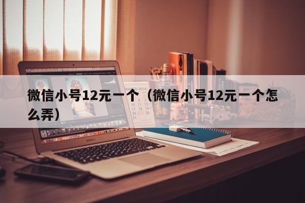 微信小号12元一个（微信小号12元一个怎么弄）