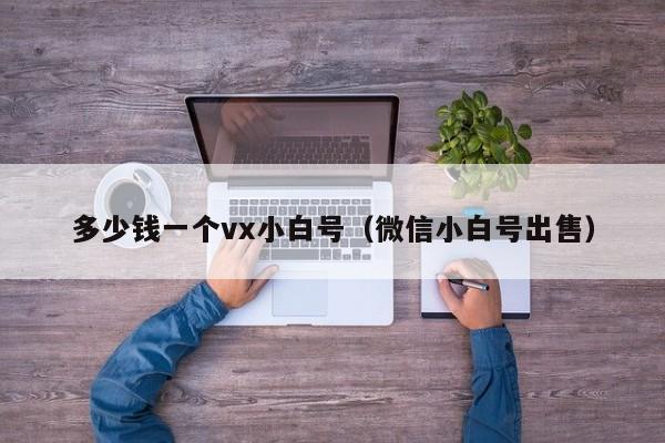 多少钱一个vx小白号（微信小白号出售）
