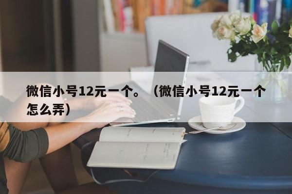 微信小号12元一个。（微信小号12元一个怎么弄）