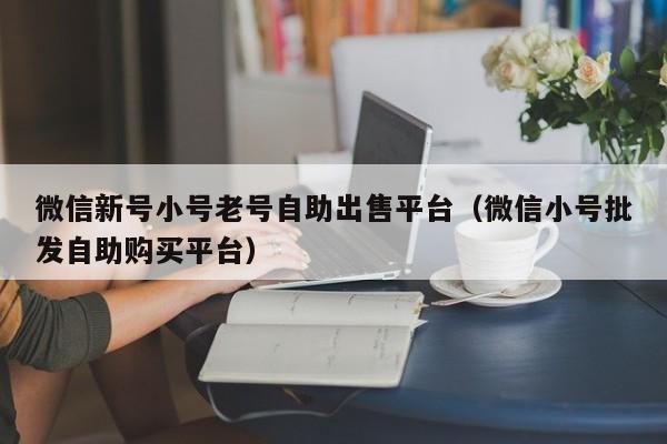 微信新号小号老号自助出售平台（微信小号批发自助购买平台）