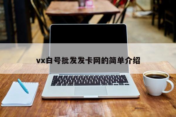 vx白号批发发卡网的简单介绍