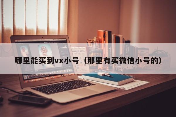 哪里能买到vx小号（那里有买微信小号的）