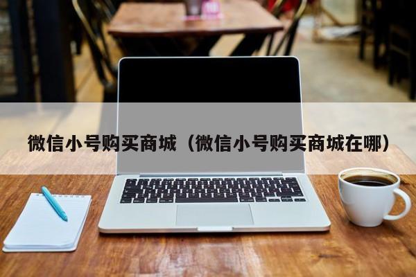 微信小号购买商城（微信小号购买商城在哪）