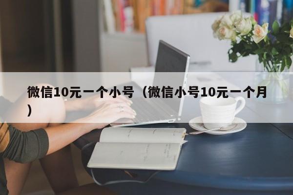 微信10元一个小号（微信小号10元一个月）