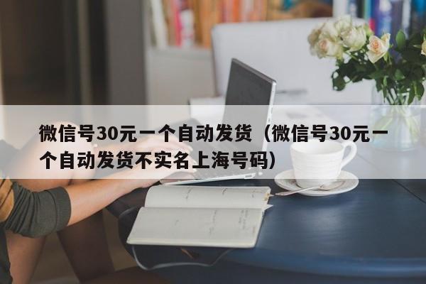 微信号30元一个自动发货（微信号30元一个自动发货不实名上海号码）