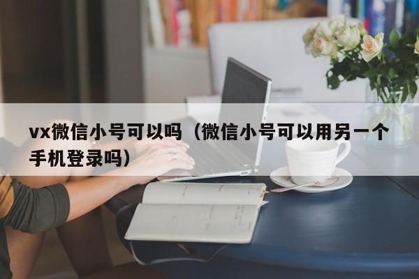 vx微信小号可以吗（微信小号可以用另一个手机登录吗）