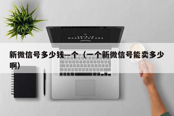 新微信号多少钱—个（一个新微信号能卖多少啊）