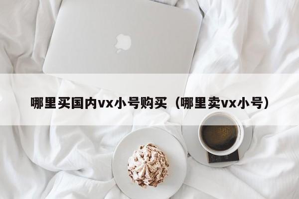 哪里买国内vx小号购买（哪里卖vx小号）