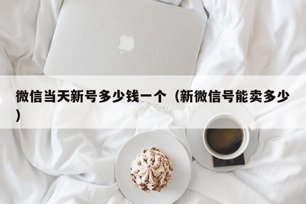 微信当天新号多少钱一个（新微信号能卖多少）