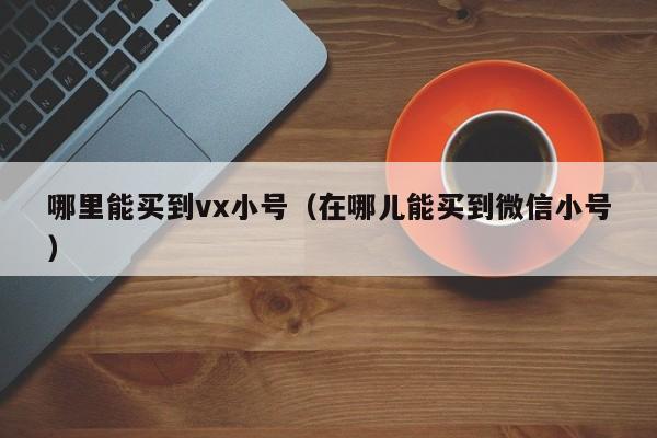 哪里能买到vx小号（在哪儿能买到微信小号）