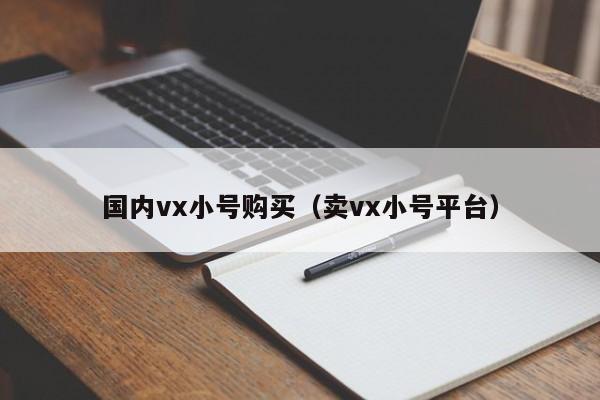 国内vx小号购买（卖vx小号平台）