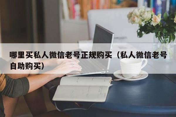 哪里买私人微信老号正规购买（私人微信老号自助购买）