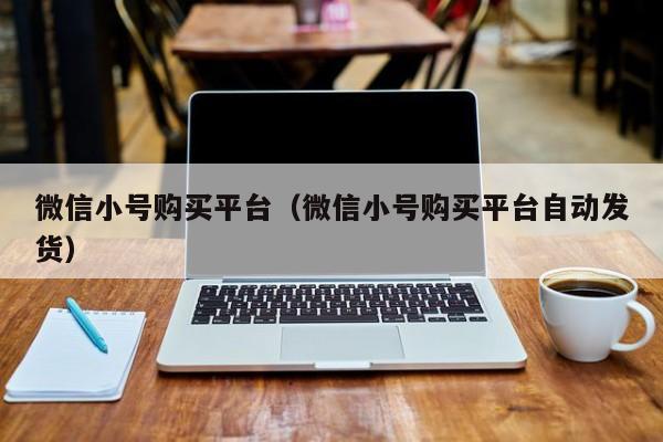 微信小号购买平台（微信小号购买平台自动发货）
