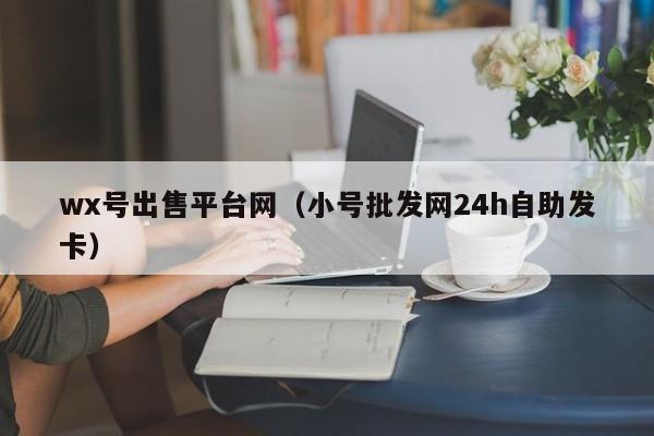 wx号出售平台网（小号批发网24h自助发卡）